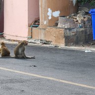 จุดชมวิวเขาสามมุข ชลบุรี