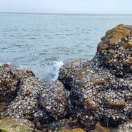 จุดชมวิวเขาสามมุข ชลบุรี