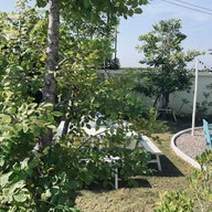 เดอะไลท์เฮ้าคาเฟ่ ประชาอุทิศ90