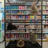 PET's STATION - สถานีสัตว์เลี้ยง