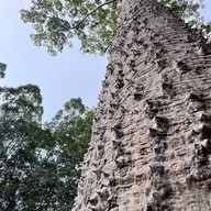 บ่อน้ำร้อนค่ายลูกเสือ