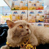 PET's STATION - สถานีสัตว์เลี้ยง