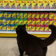 PET's STATION - สถานีสัตว์เลี้ยง