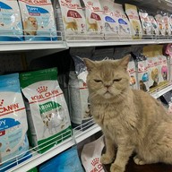 PET's STATION - สถานีสัตว์เลี้ยง