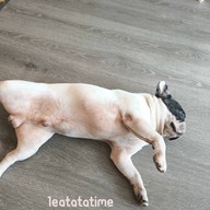 เมนูของร้าน Arabrick