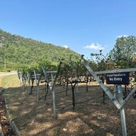 GranMonte Vineyard and Winery เขาใหญ่