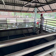 บ่อน้ำร้อนค่ายลูกเสือ