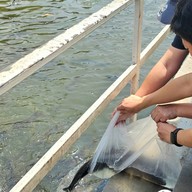 บรรยากาศ วัดนิมมานรดี