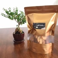 Wolf Croissanterie Ladprao71