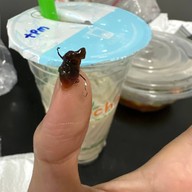 หน้าร้าน Ochaya เดอะพาซิโอ ลาดกระบัง