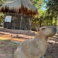 บรรยากาศ Khonkean Exotic Pets & The fountain Show