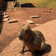 บรรยากาศ Khonkean Exotic Pets & The fountain Show