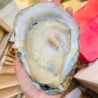 หอยนางรมสุราษฎร์ bkk เจริญนคร เจริญนคร