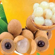 ตอต้น ลำใยสด