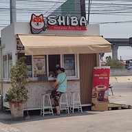 หน้าร้าน Shiba hokkaido milk tea