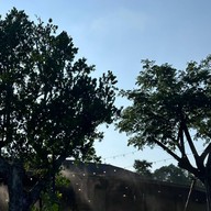 ร้านเกื้อ บ้านแลง