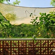 Baanmaeoon cafe. สาขา1