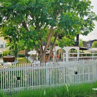 Baanmaeoon cafe. สาขา1