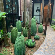 The Forest Cafe 1 กาแฟในสวน