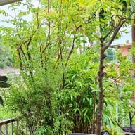ร้านอาหารชายน้ำ(อยุธยา)