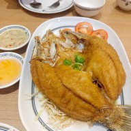 หัวปลาช่องนนทรี เทอมินอลโคราช