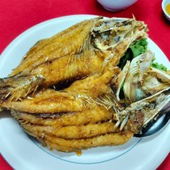 บ้านต้นไม้