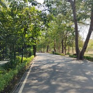 บรรยากาศ อุทยานผีเสื้อและแมลงกรุงเทพ