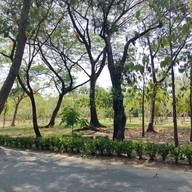 บรรยากาศ อุทยานผีเสื้อและแมลงกรุงเทพ