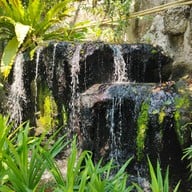 บรรยากาศ อุทยานผีเสื้อและแมลงกรุงเทพ