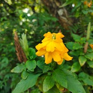 บรรยากาศ อุทยานผีเสื้อและแมลงกรุงเทพ