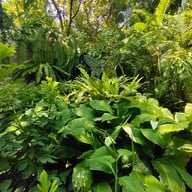 บรรยากาศ อุทยานผีเสื้อและแมลงกรุงเทพ