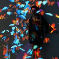 Firefly Factory -