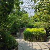 บรรยากาศ อุทยานผีเสื้อและแมลงกรุงเทพ