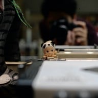 บรรยากาศ the canary cafe