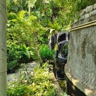 บรรยากาศ อุทยานผีเสื้อและแมลงกรุงเทพ