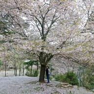 บรรยากาศ Nara Park