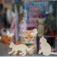 Houtong Cat Village