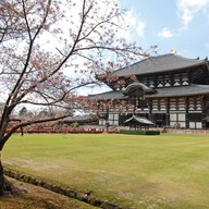 บรรยากาศ Nara Park