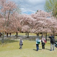 บรรยากาศ Nara Park
