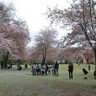 บรรยากาศ Nara Park