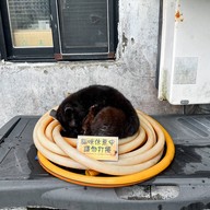 Houtong Cat Village