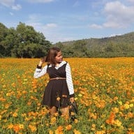 บรรยากาศ Jim Thompson Farm