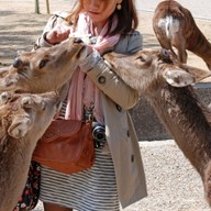 บรรยากาศ Nara Park