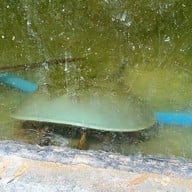 ครัวศักรินทร์ฟาร์ม