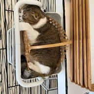 Sea you again cafe house