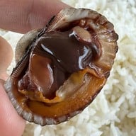 ครัวเลี้ยงหอย