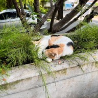 บรรยากาศ The Hub Cafe and Eatery พระราม 9