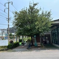 Shabubomb (ชาบู ข้าวหน้าเนื้อพ่นไฟ) ศาลายา พุทธมณฑลสาย5