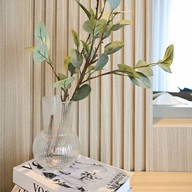 Aster Hotel & Residence