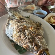 อ๊อดปลาเผา